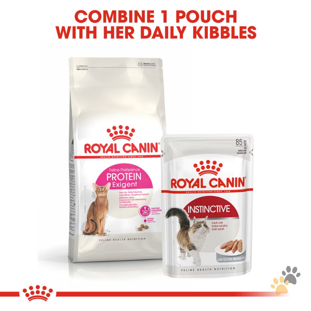 ROYAL CANIN FELINE NUTRITION EXIGENT PROTEIN DRY CAT FOOD
