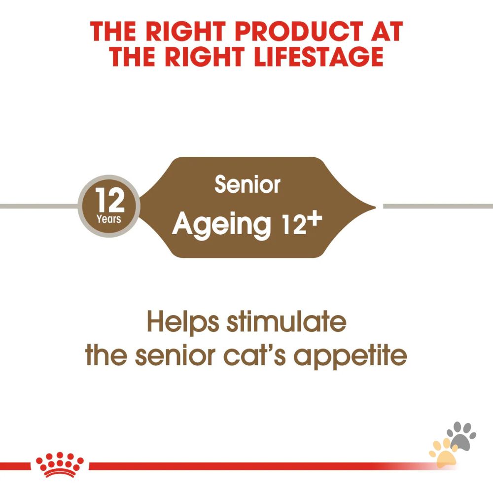 ROYAL CANIN FELINE HEALTH NUTRITION +12 DRY CAT FOOD