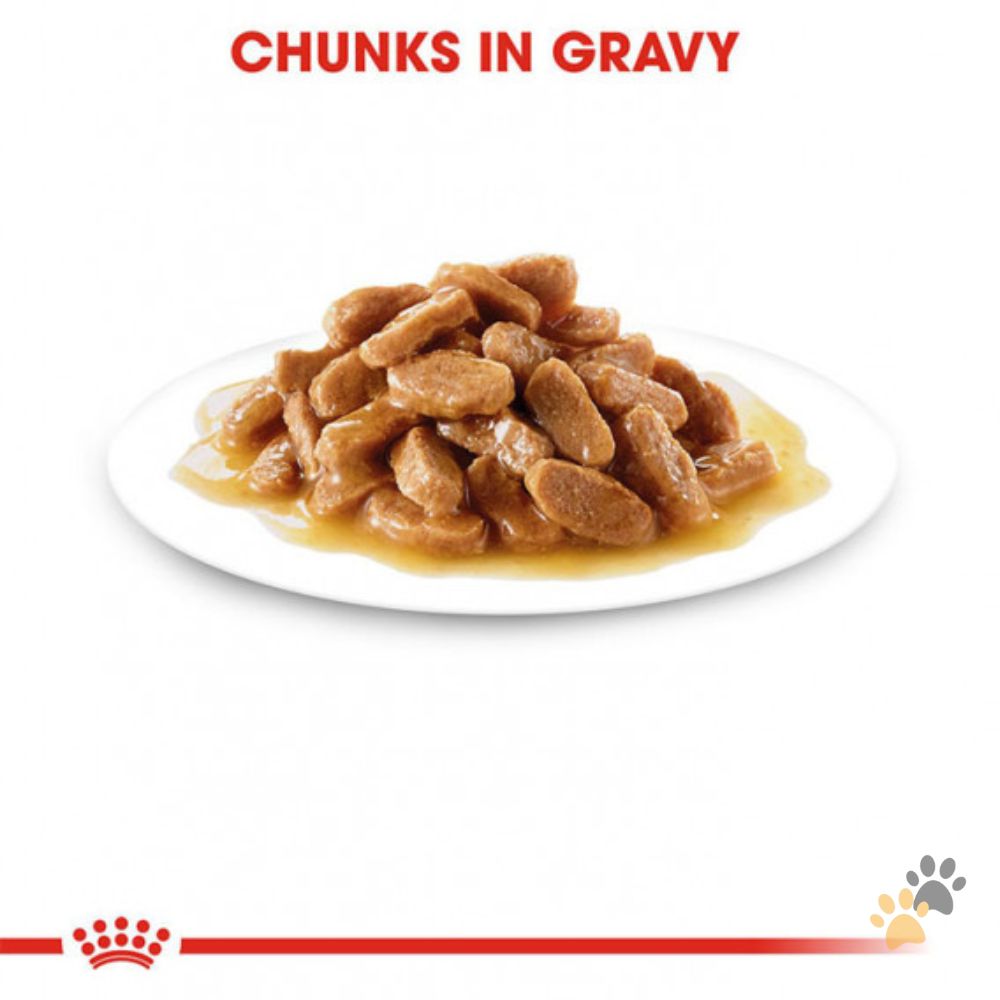 ROYAL CANIN MEDIUM PUPPY DOG WET FOOD - 140G