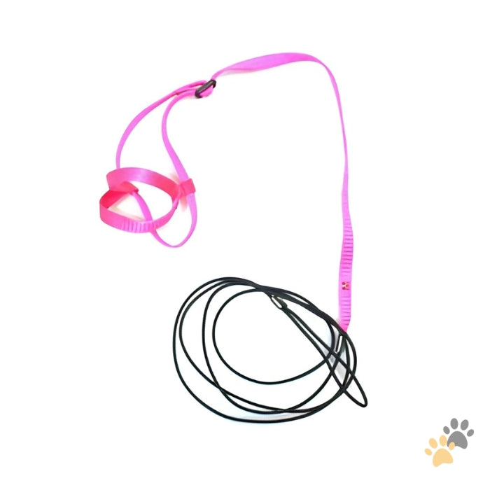 HARNESS FOR PARROT