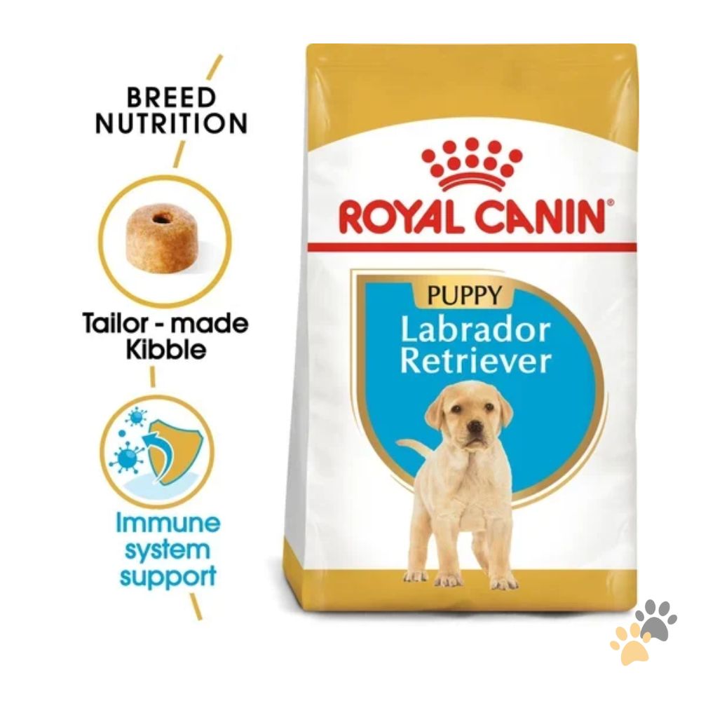 ROYAL CANIN LABRADOR JUNIOR