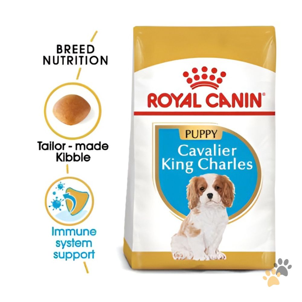 ROYAL CANIN CAVALIER KING CHARLES JUNIOR