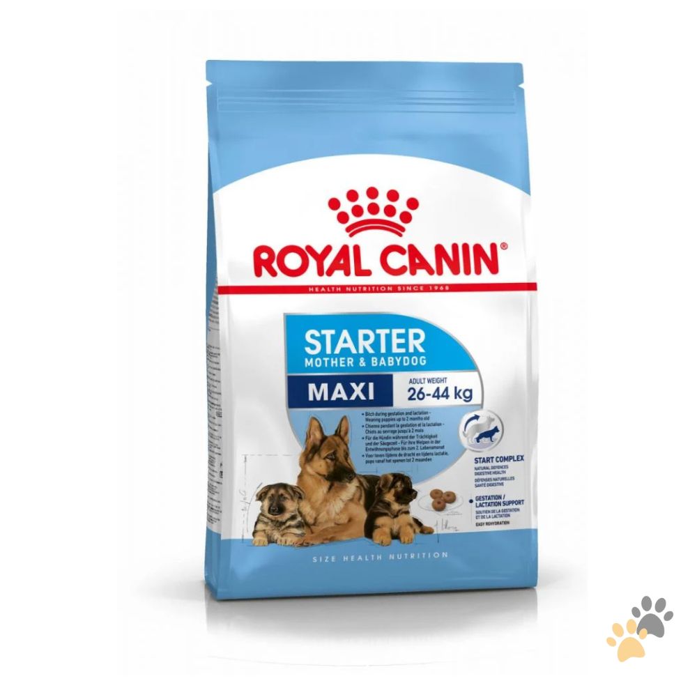 ROYAL CANIN MAXI STARTER DRY DOG FOOD