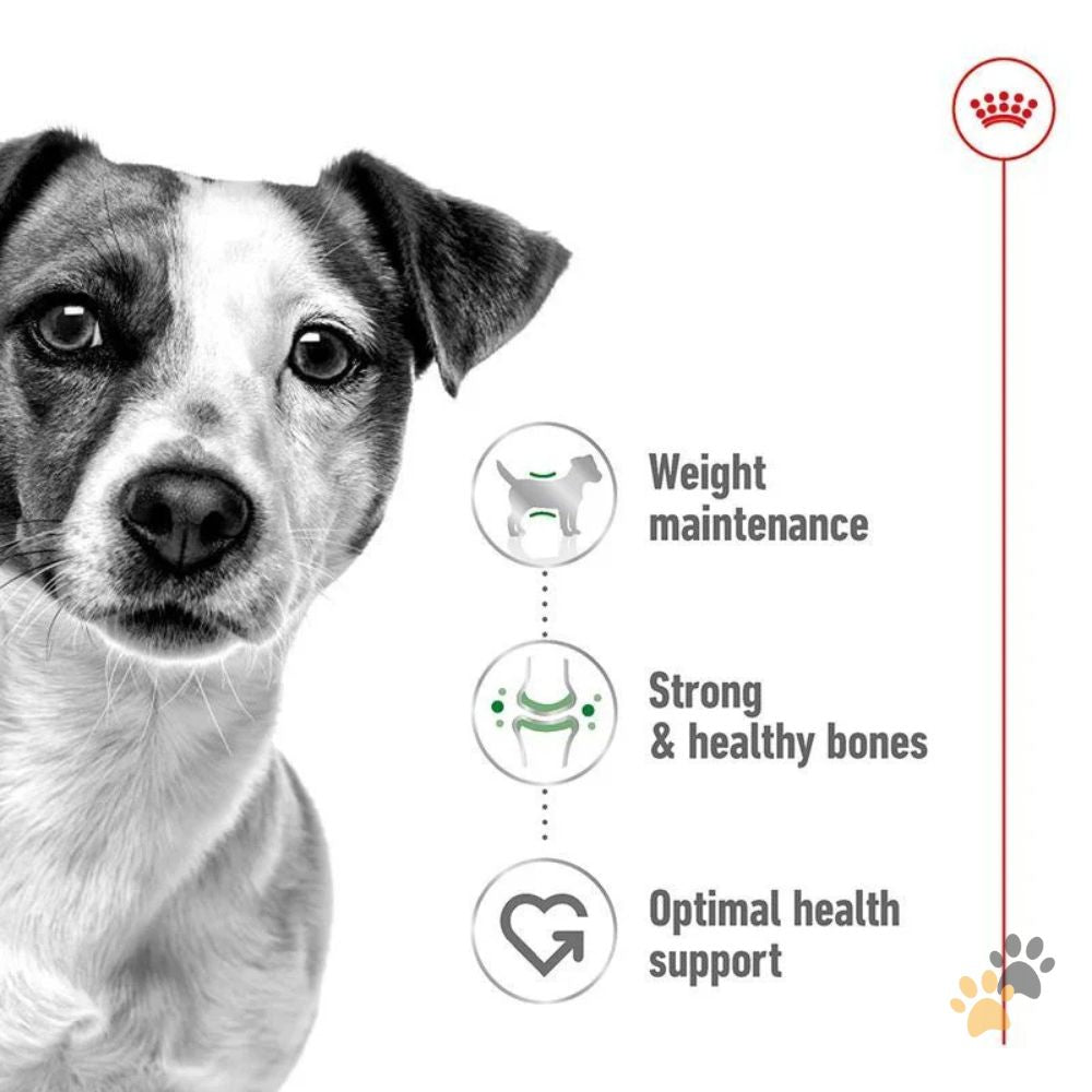 ROYAL CANIN MINI ADULT DOG WET FOOD CAN - 195G