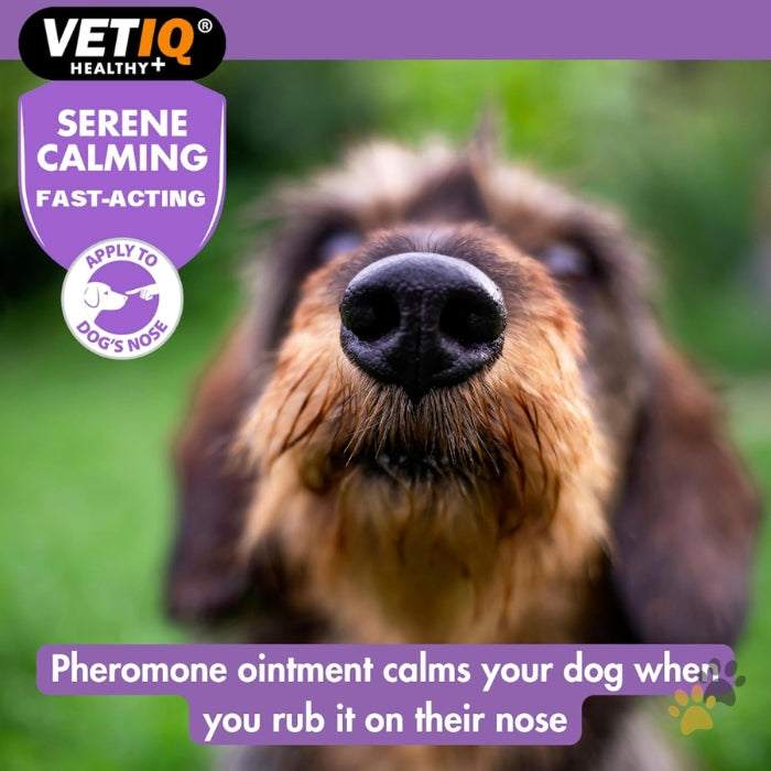 VETIQ SERENE CALMING DOG OINTMENT