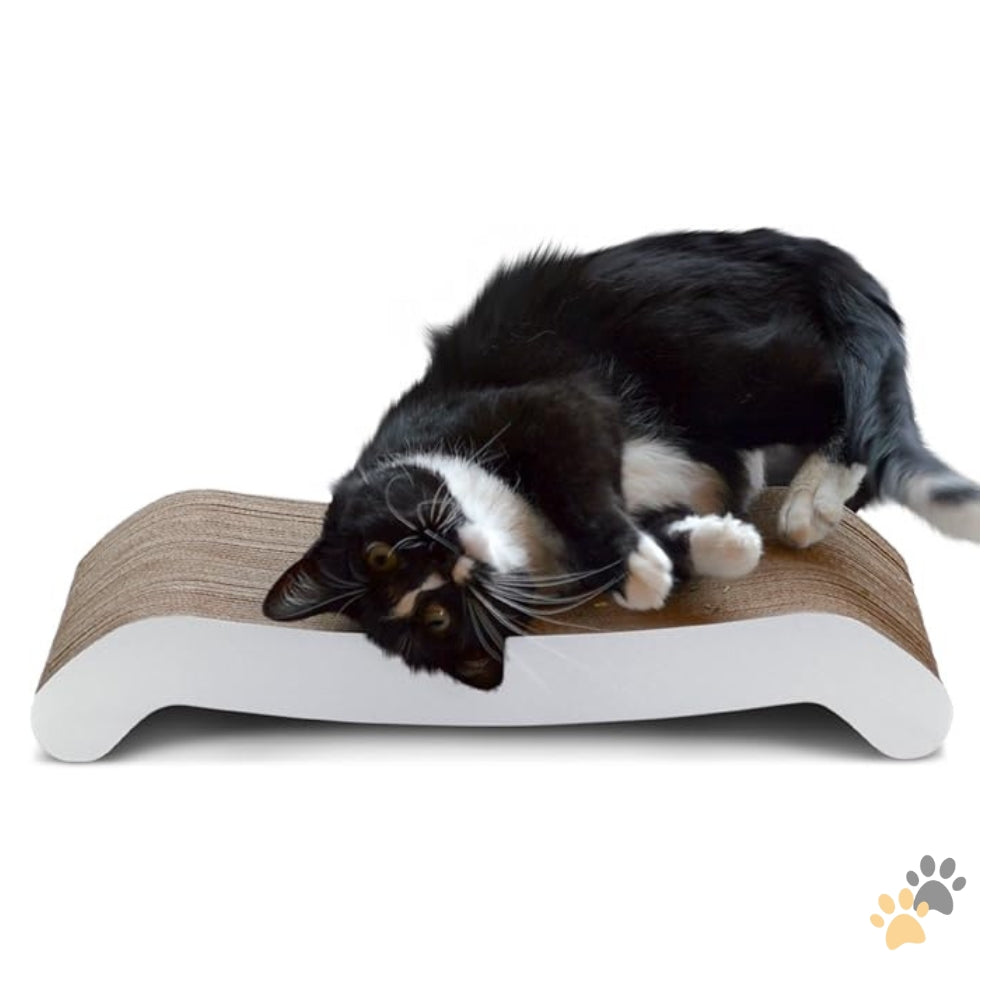 PET FUSION REVERSIBLE CURVED SCRATCHER
