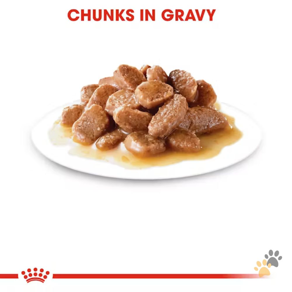ROYAL CANIN ULTRA LIGHT GRAVY WET CAT FOOD