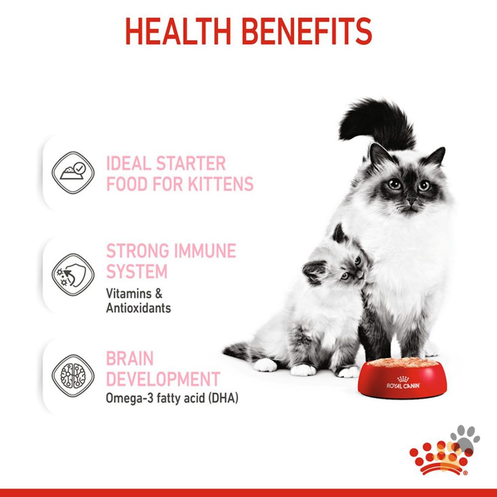 ROYAL CANIN MOTHER AND BABYCAT WET FOOD CANS TRAY - 12 X 195G