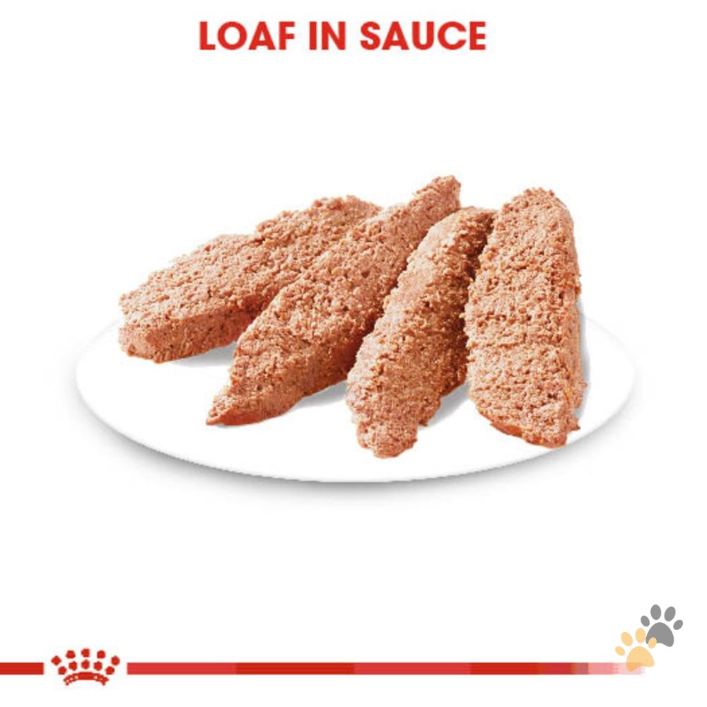 ROYAL CANIN DIGESTIVE CARE DOG WET FOOD - 85G