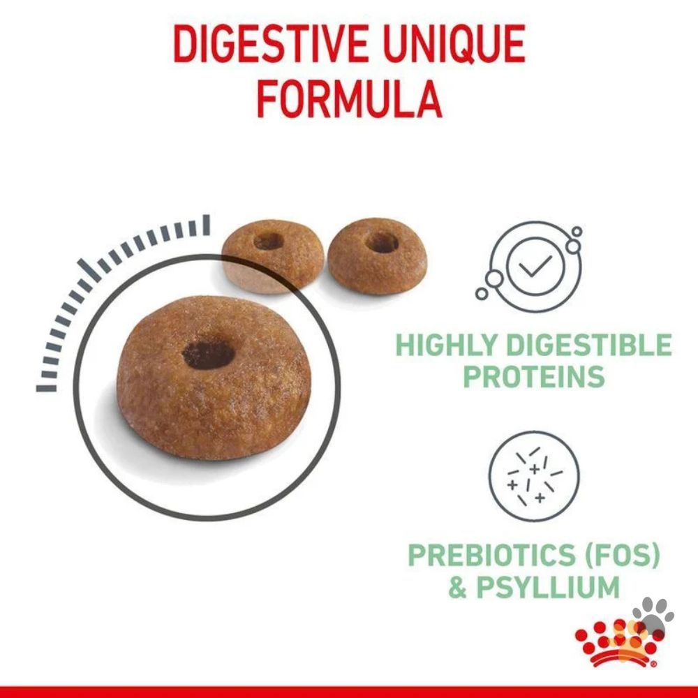 ROYAL CANIN DIGESTIVE CARE DRY CAT FOOD