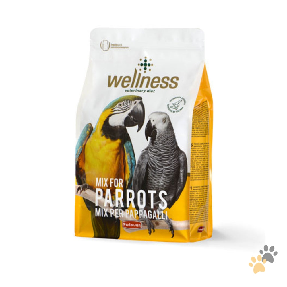 WELLNESS PARROTS