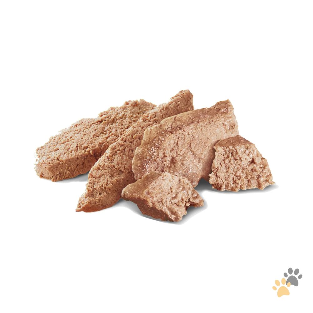 ROYAL CANIN LABRADOR DOG WET FOOD - 10 X 140G