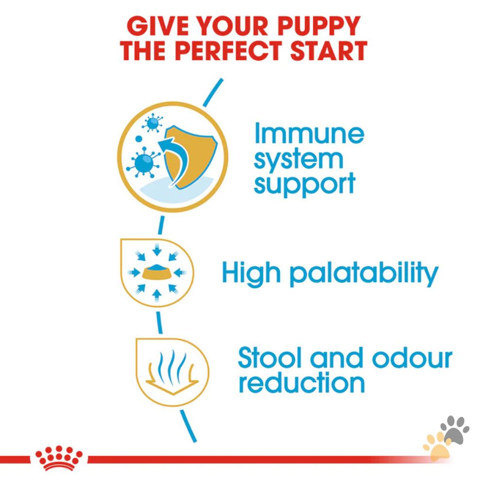 ROYAL CANIN BREED HEALTH NUTRITION CHIHUAHUA PUPPY