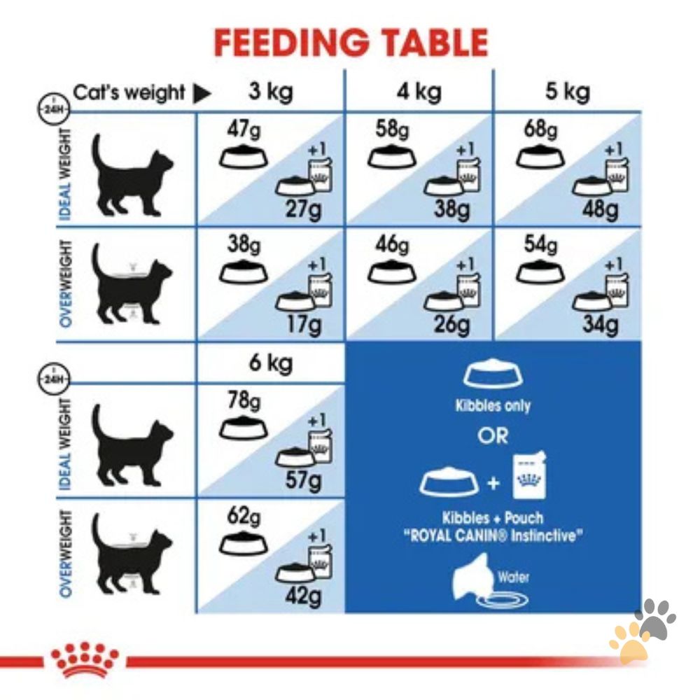 ROYAL CANIN INDOOR APPETITE CONTROL DRY CAT FOOD