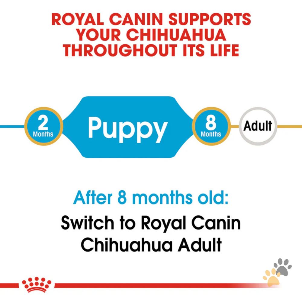 ROYAL CANIN BREED HEALTH NUTRITION CHIHUAHUA PUPPY