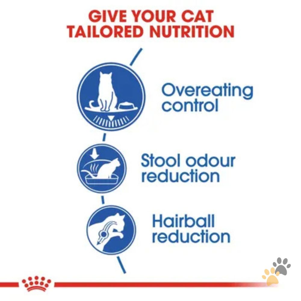 ROYAL CANIN INDOOR APPETITE CONTROL DRY CAT FOOD