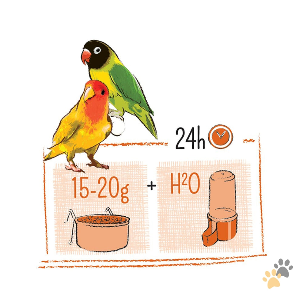 WITTE MOLEN PUUR LOVEBIRD