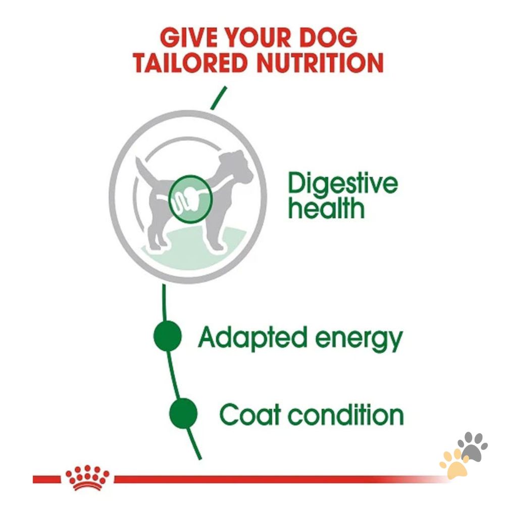 ROYAL CANIN MINI ADULT DOG WET FOOD - 85G
