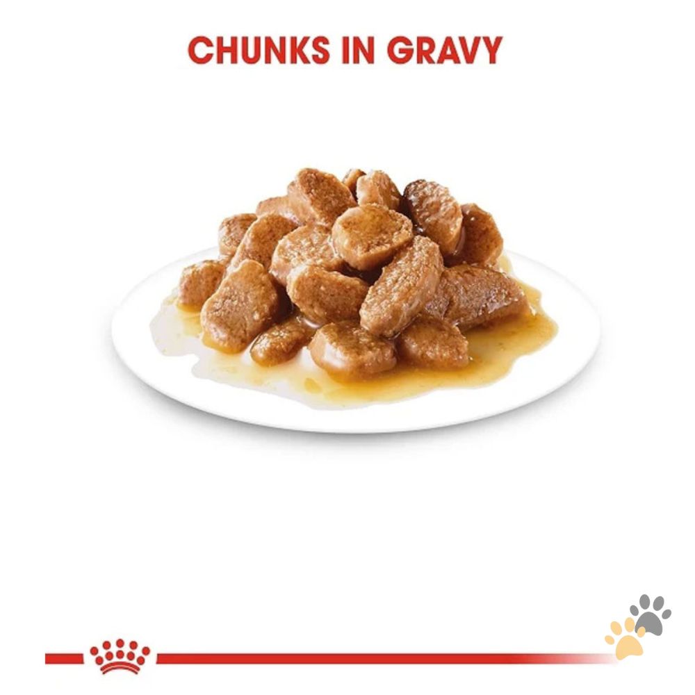 ROYAL CANIN MINI ADULT DOG WET FOOD - 85G