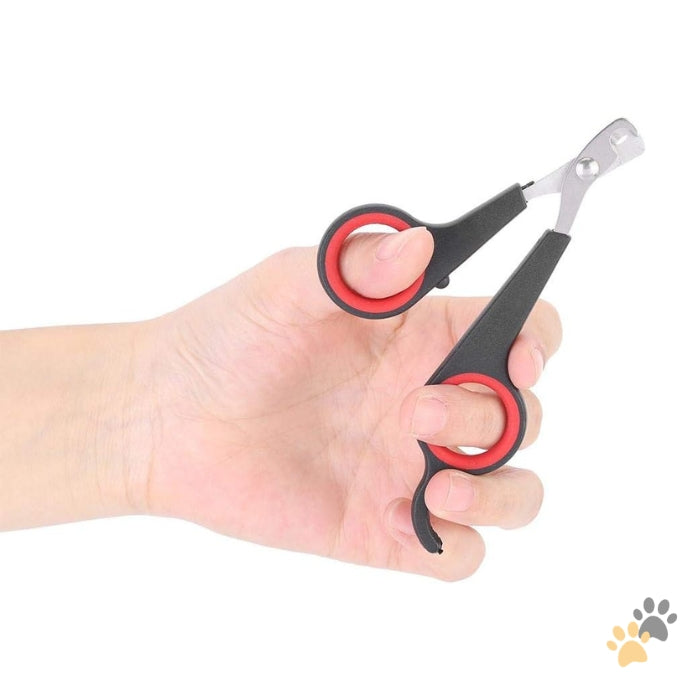 BIRD NAIL SCISSORS