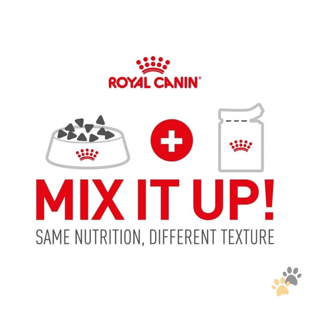 ROYAL CANIN MINI PUPPY DOG WET FOOD - 85G
