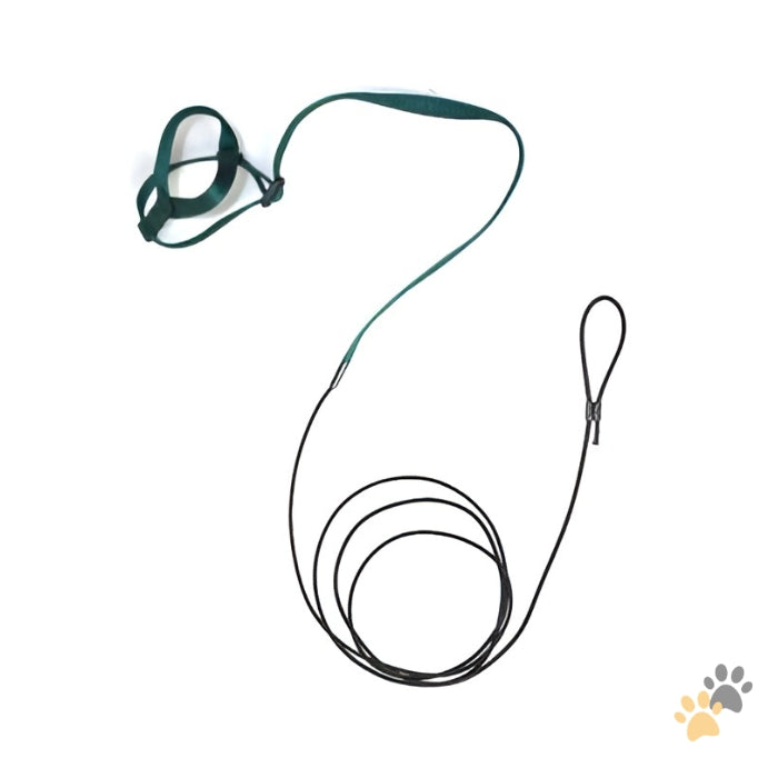 HARNESS FOR PARROT