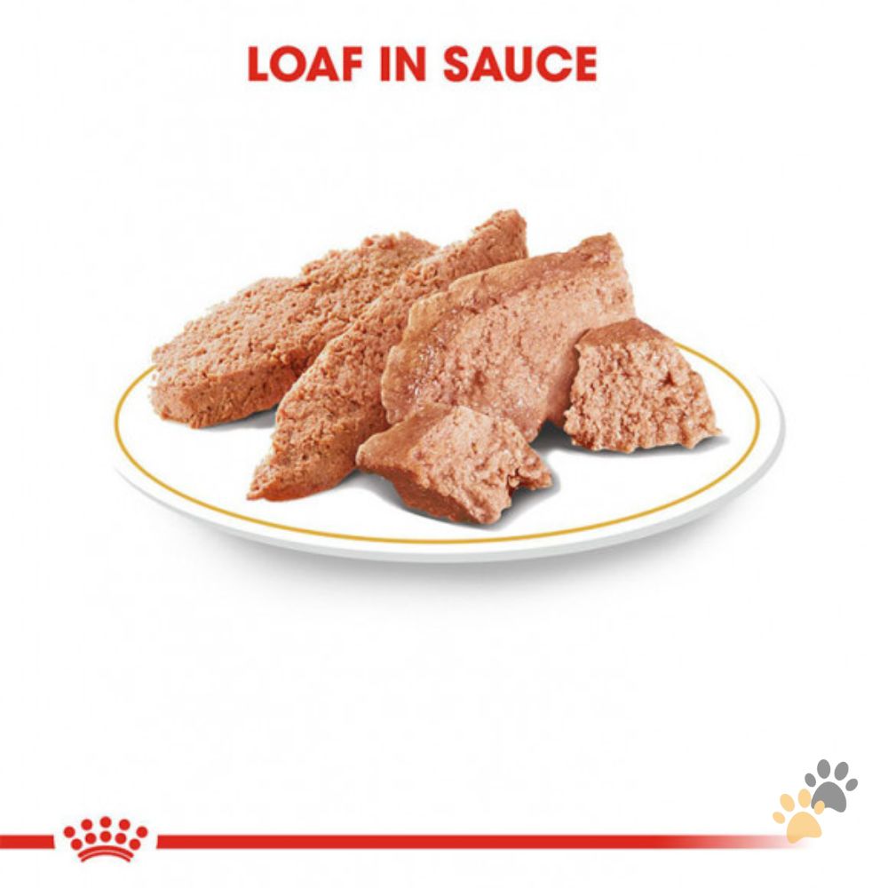 ROYAL CANIN CHIHUAHUA DOG WET FOOD - 85G