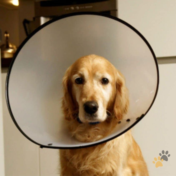 WOOFY PROTECTIVE PET MEDICAL COLLAR