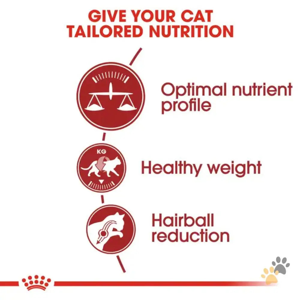 Royal Canin Dry Cat Food Fit 32 - Cat Food