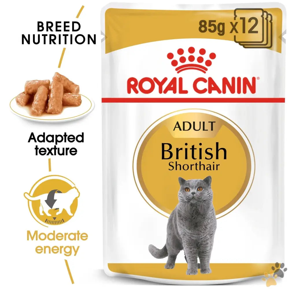 Royal Canin Feline Breed Nutrition British Shorthair Wet Cat Food - 12x85g - Cat Food