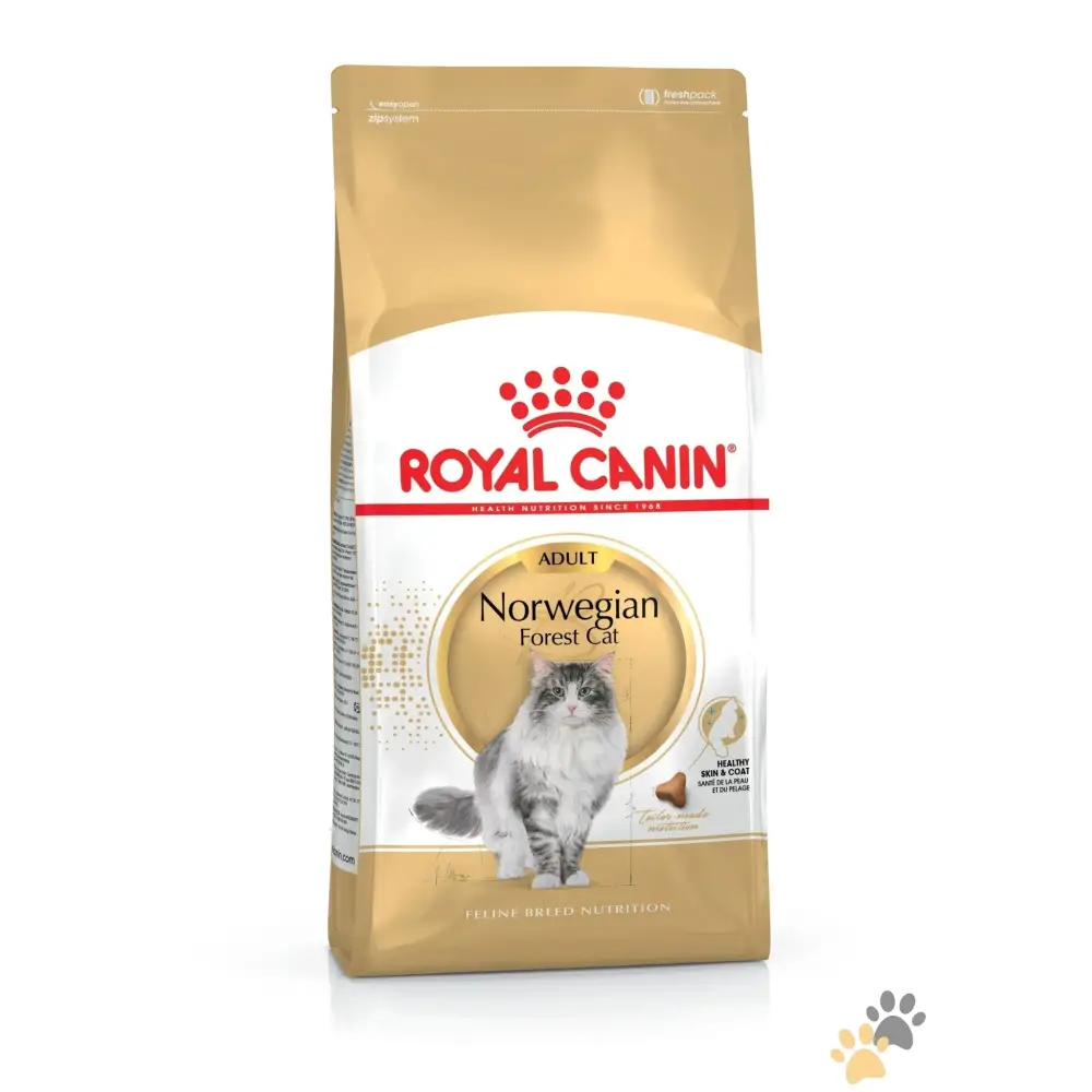 Royal Canin Feline Breed Nutrition Norwegian Forest Dry Adult Cat Food - 2 Kg - Cat Food
