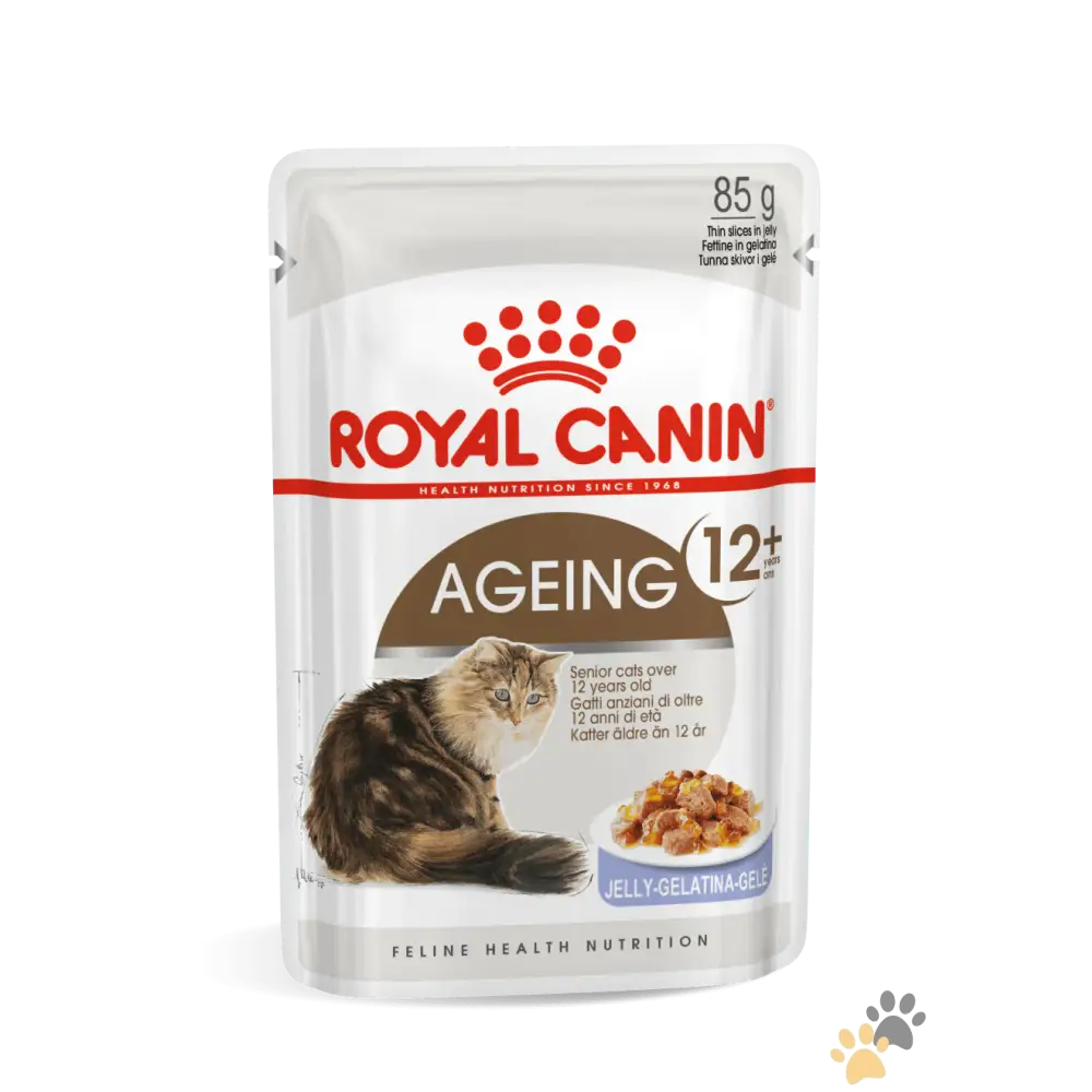 Royal Canin Feline Health Nutrition Ageing + 12 Wet Cat Food - Pack of 12 - Cat Food