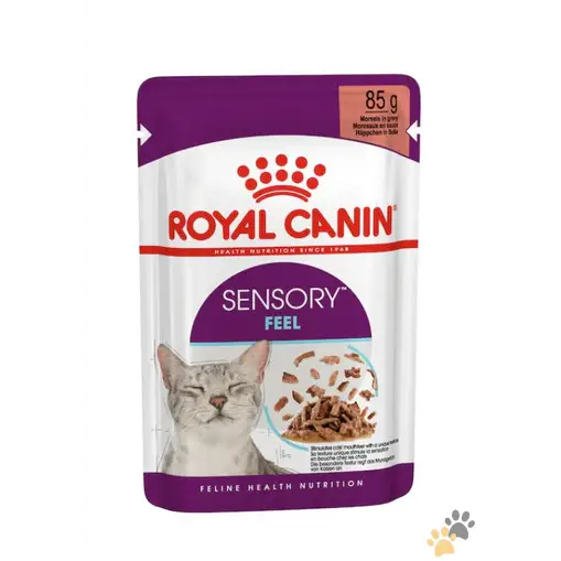 Royal Canin Feline Health Nutrition Sensory Feel Gravy Wet Food - 12x85g - Cat Food
