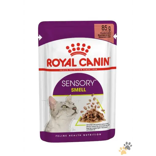 Royal Canin Feline Health Nutrition Sensory Smell Gravy Wet Food - 12x85g - Cat Food