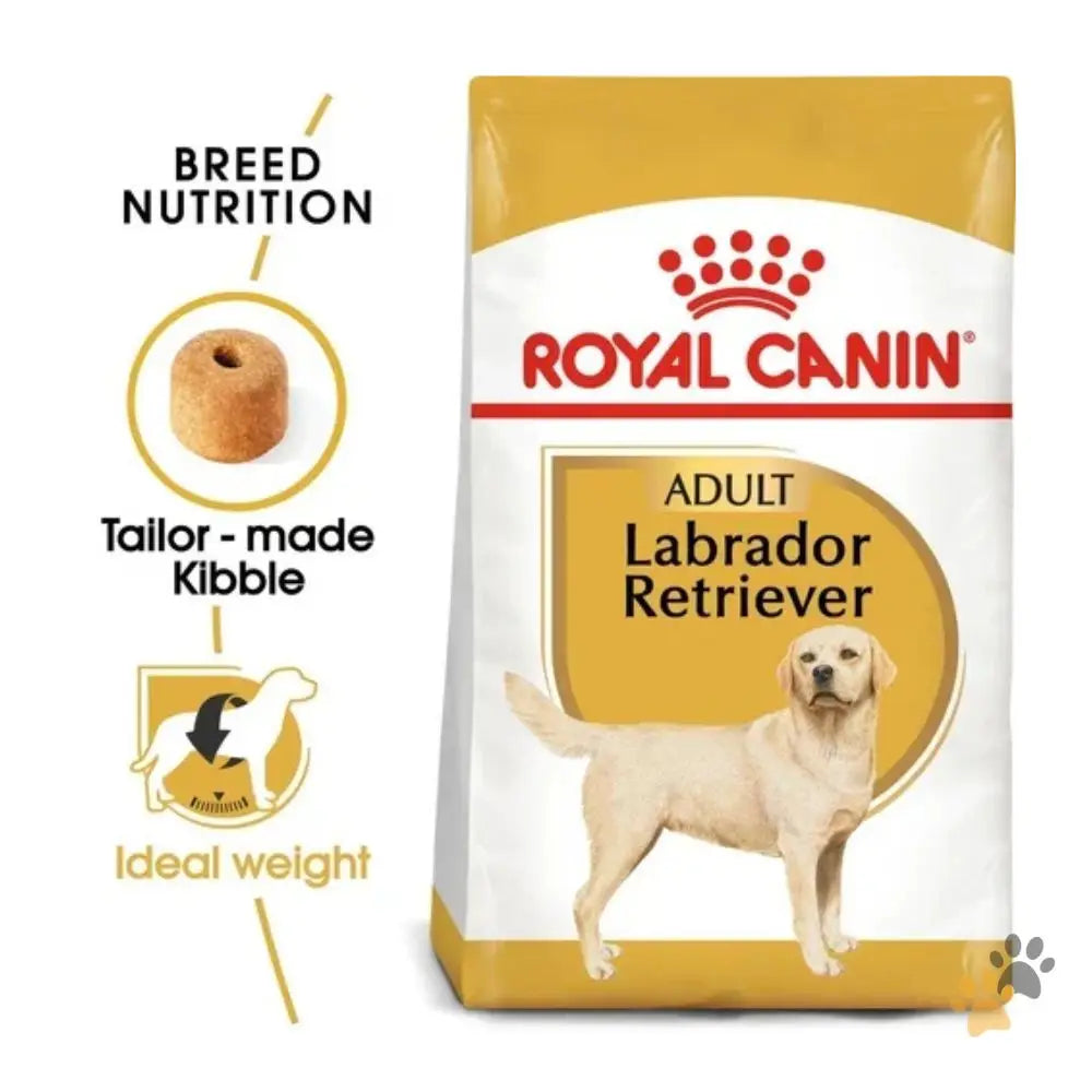 Royal Canin Labrador Adult - 3 Kg - Dog Food