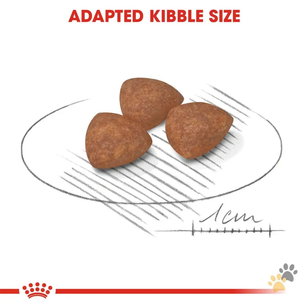 Royal Canin Mini Indoor Puppy Dry Food - 1.5 Kg - Dog Food