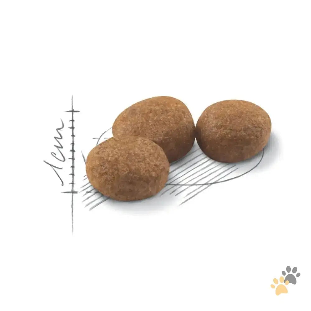 Royal Canin Sterilised Dry Cat Food - Cat Food