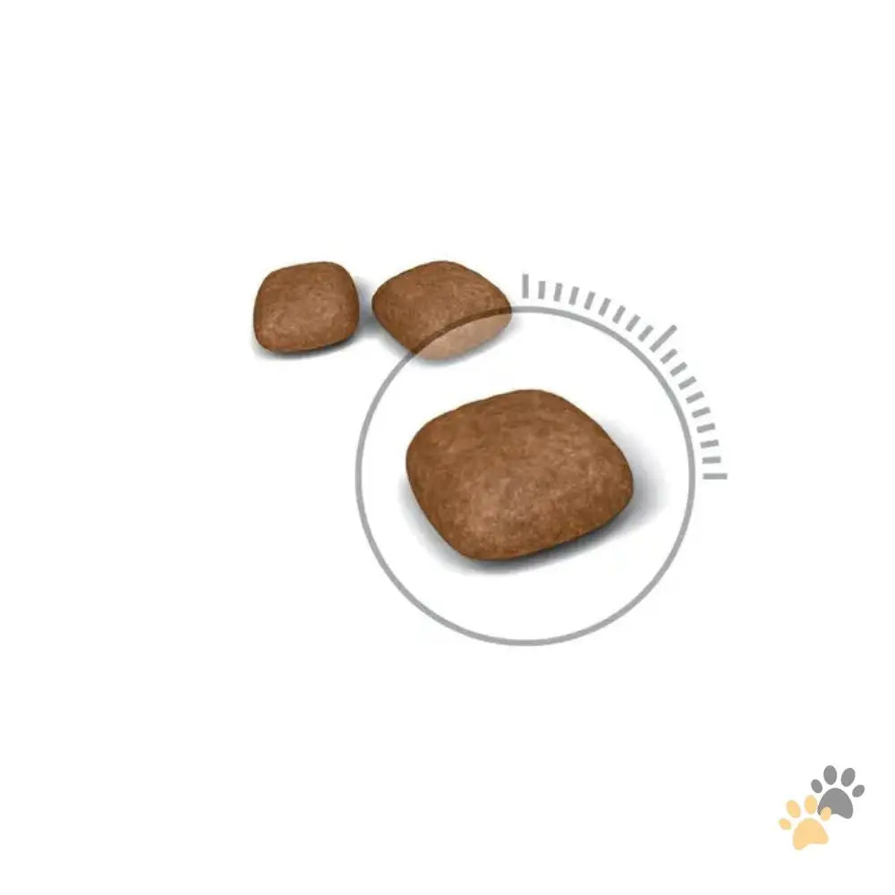 Royal Canin Urinary Care Dry Cat Food - Cat Food