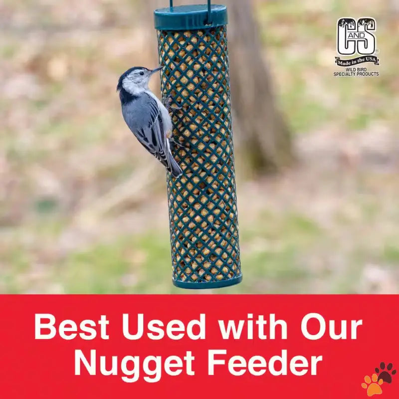 Peanut Flavored Suet Nuggets - 1.7 Lb. Wild Bird Peanut Flavored Suet Nuggets.