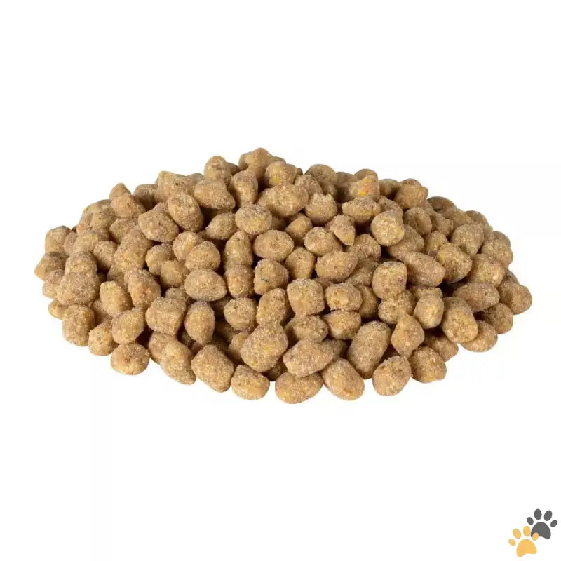 Peanut Flavored Suet Nuggets - 1.7 Lb. Wild Bird Peanut Flavored Suet Nuggets.