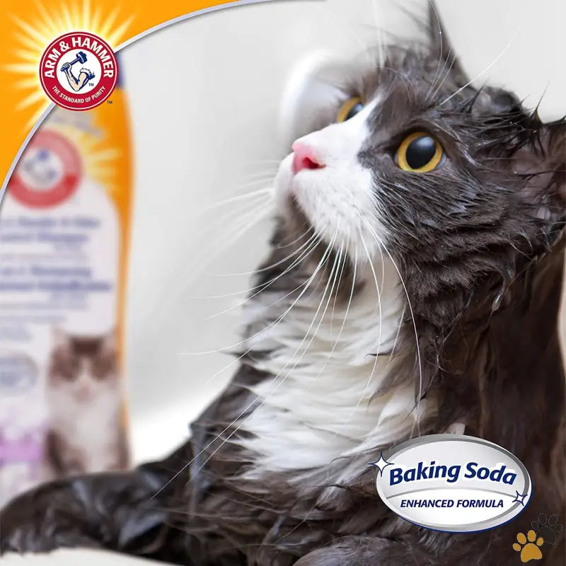 Arm & Hammer Cat Dander Shampoo - Lavender Chamomile / 20 Fl Oz (pack of 1) - 2-in-1 Deodorizing & Dander Reducing