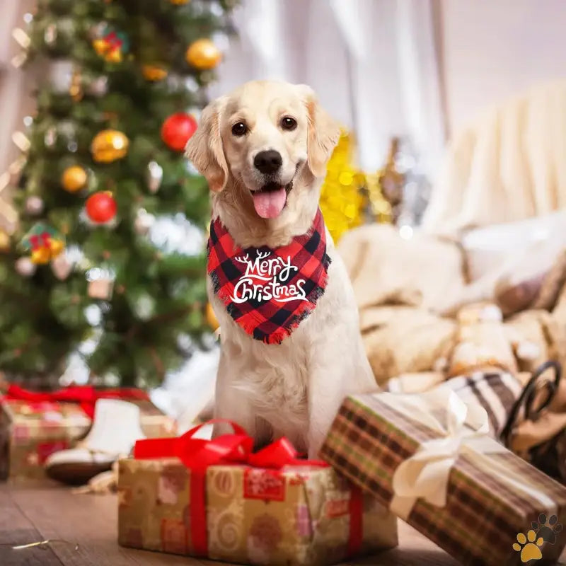 Christmas Plaid Pet Apparel - Green + Red / Large - 2 Pack Dog Bandana Christmas Classic Buffalo Plaid Pattern