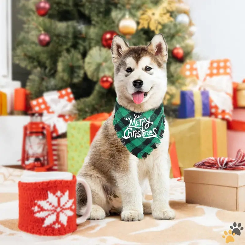 Christmas Plaid Pet Apparel - Green + Red / Large - 2 Pack Dog Bandana Christmas Classic Buffalo Plaid Pattern