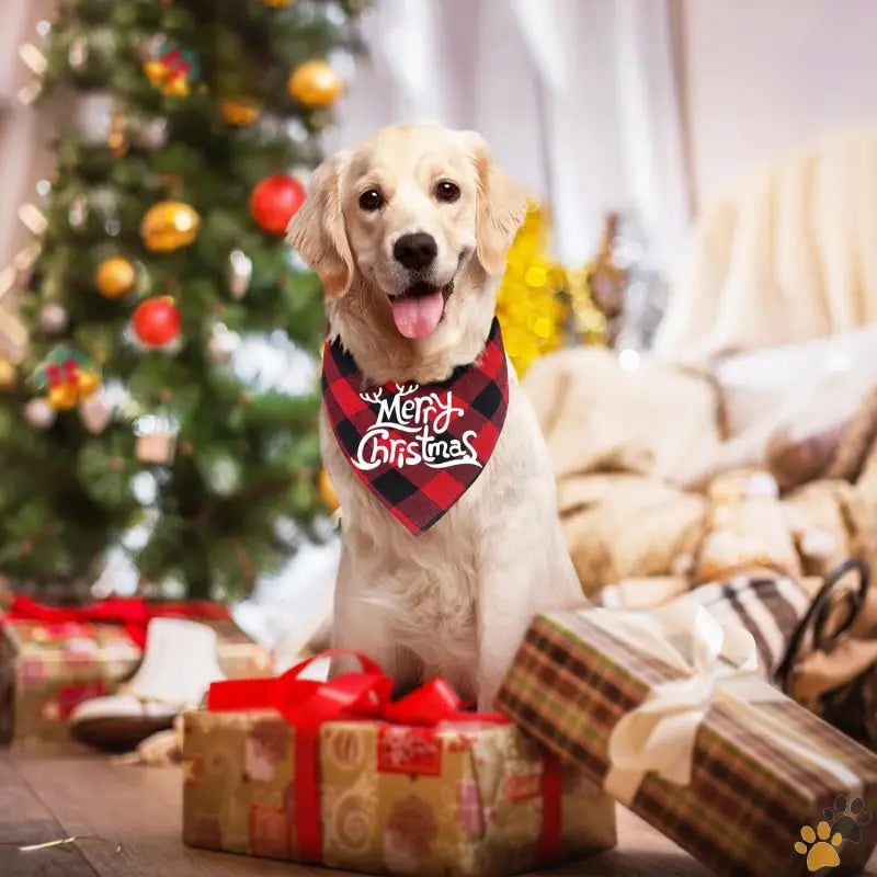 Christmas Dog Bandanas Pets Dogs - Christmas 1 / Large - 2 Pack Dog Bandanas Christmas Classic Buffalo Plaid Dog