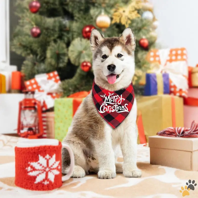 Christmas Dog Bandanas Pets Dogs - Christmas 1 / Large - 2 Pack Dog Bandanas Christmas Classic Buffalo Plaid Dog