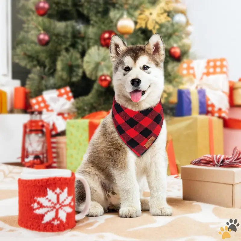 Reversible Plaid Dog Bandanas - Red + Red Plaid / Small - 2 Pack Dog Bandanas Christmas Classic Buffalo Red Plaid Pet