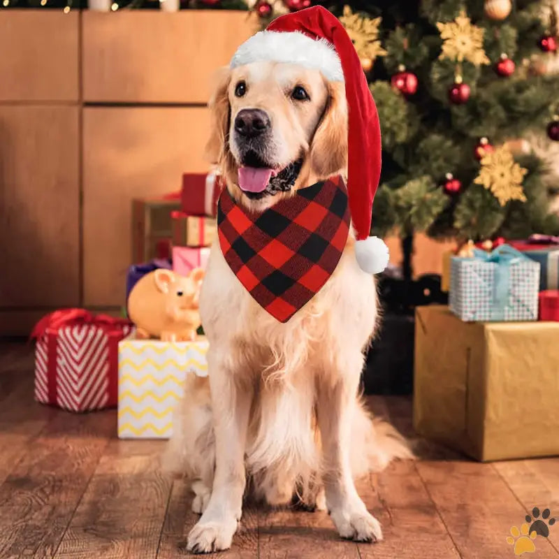 Reversible Plaid Dog Bandanas - Red + Red Plaid / Small - 2 Pack Dog Bandanas Christmas Classic Buffalo Red Plaid Pet