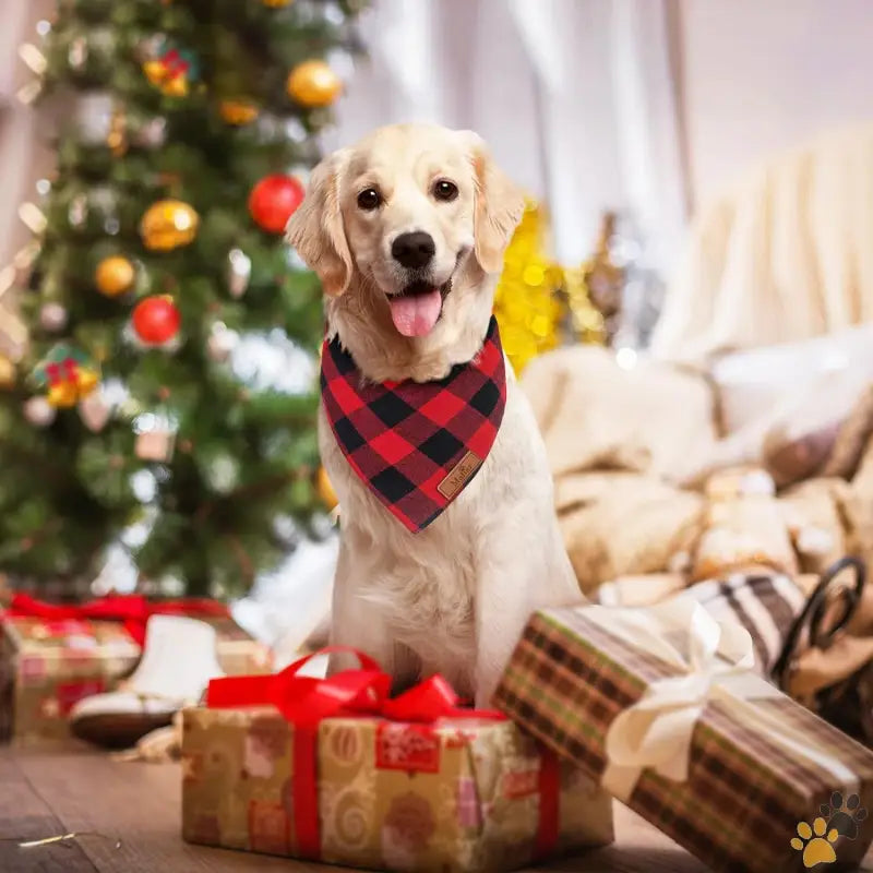 Reversible Plaid Dog Bandanas - Red + Red Plaid / Small - 2 Pack Dog Bandanas Christmas Classic Buffalo Red Plaid Pet