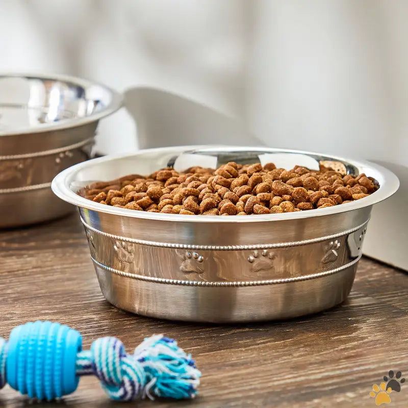 Vibrant Life Stainless Steel Paw Bowl - m / 2 - (2 Pack) Stainless Steel Paw & Beads Imprint Dog Bowl Medium.