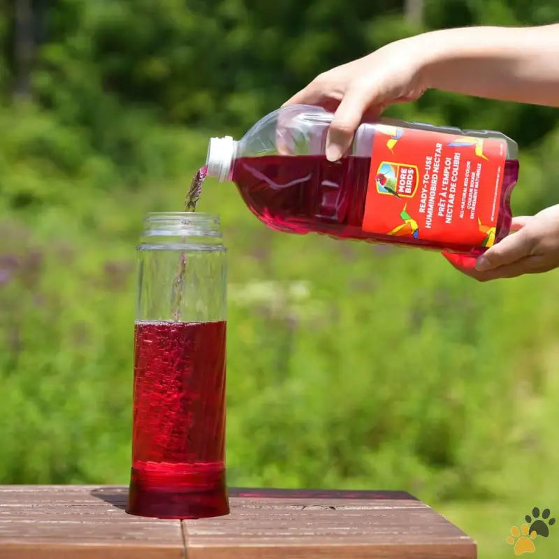 More Birds Hummingbird Nectar Real Flower Sweetness - 64 Oz. Hummingbird Red Nectar Ready to Use.